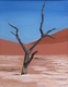 Tree in African Dessert